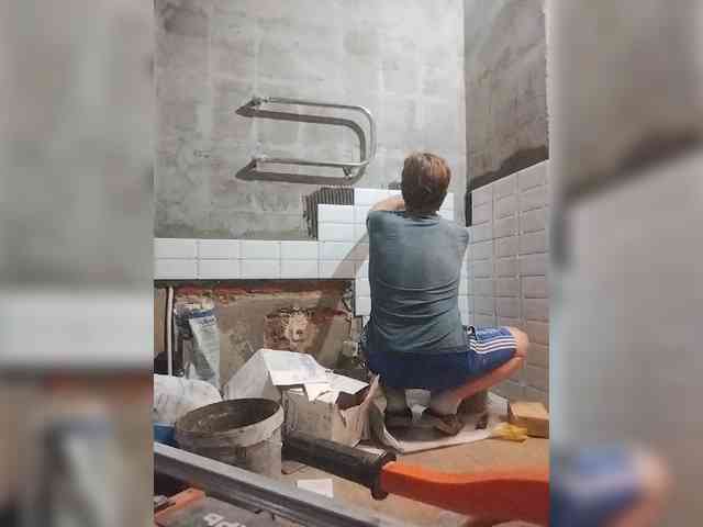 Tiler-cat