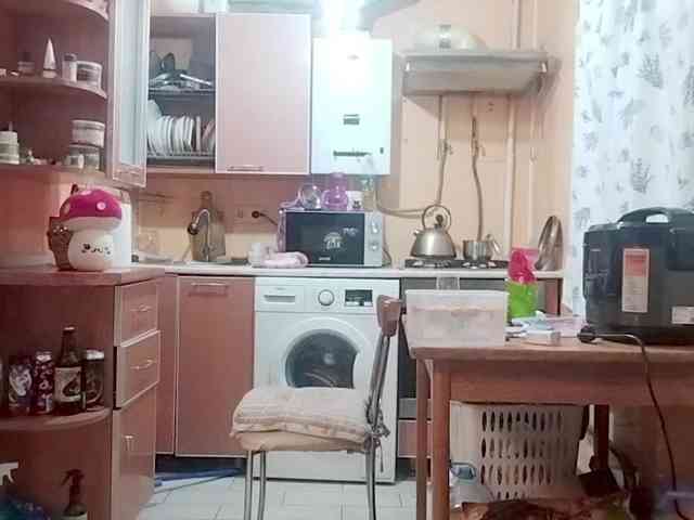 Tiler-cat Tiler-cat