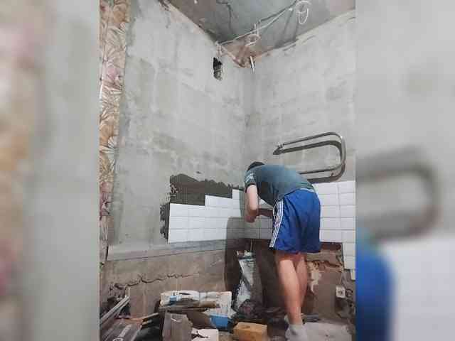 Tiler-cat