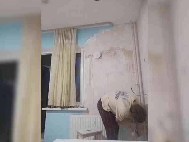 Tiler-cat