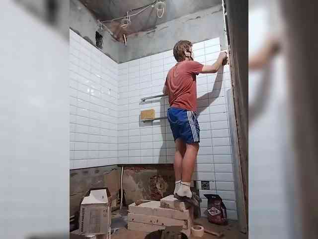 Tiler-cat