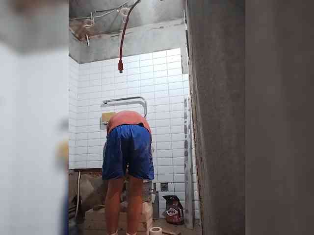 Tiler-cat