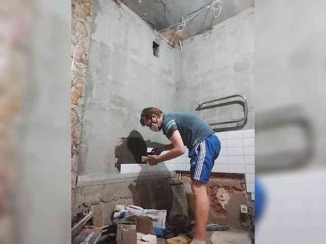 Tiler-cat