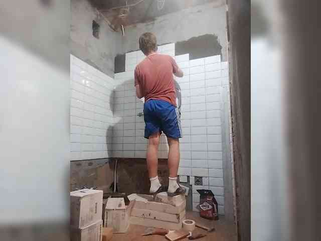 Tiler-cat