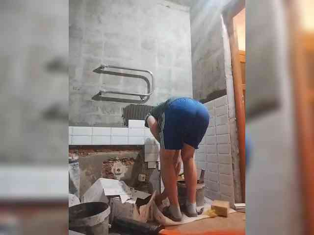 Tiler-cat
