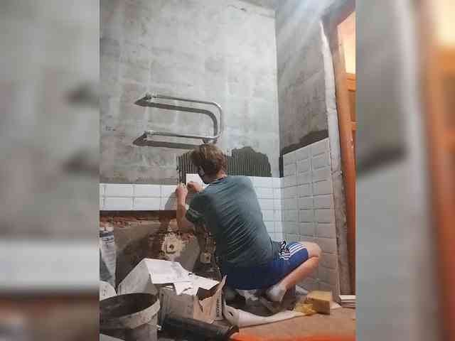 Tiler-cat