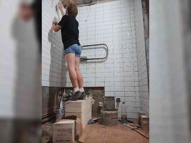 Tiler-cat