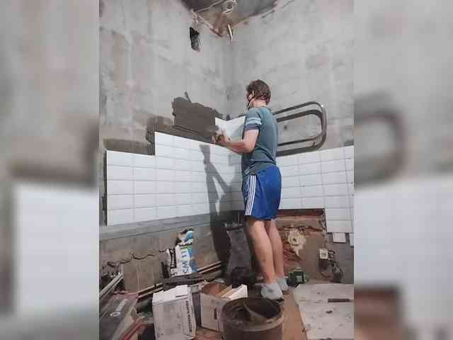 Tiler-cat