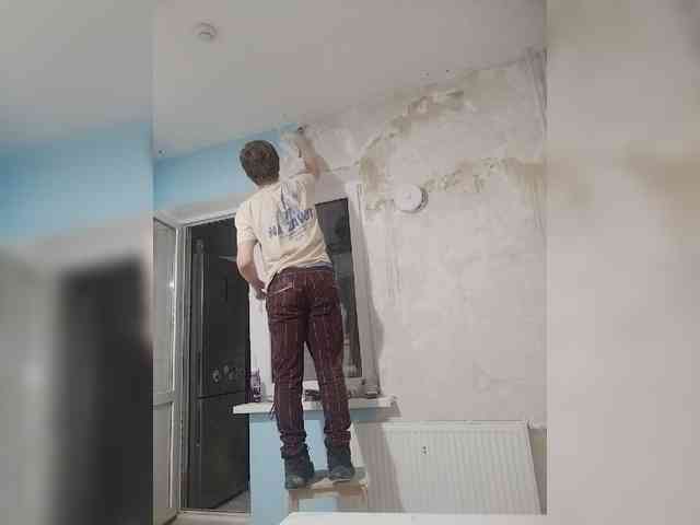 Tiler-cat