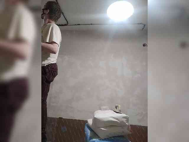 Tiler-cat
