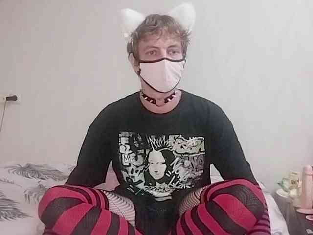 Tiler-cat Tiler-cat