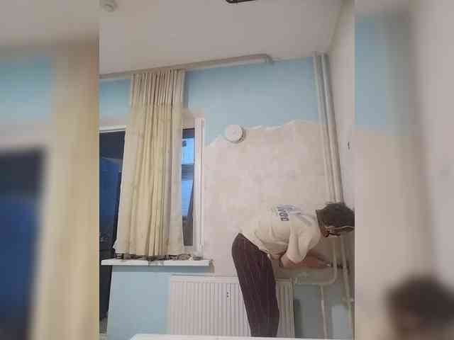 Tiler-cat