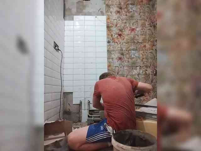 Tiler-cat