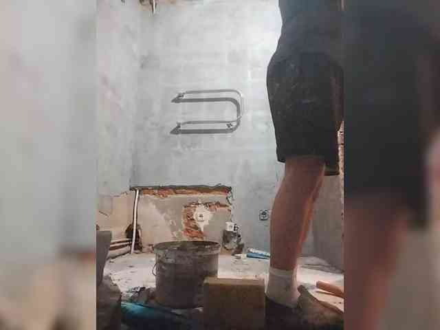 Tiler-cat