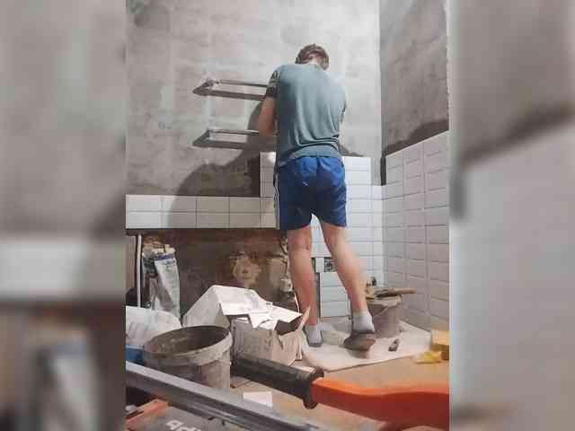 Tiler-cat