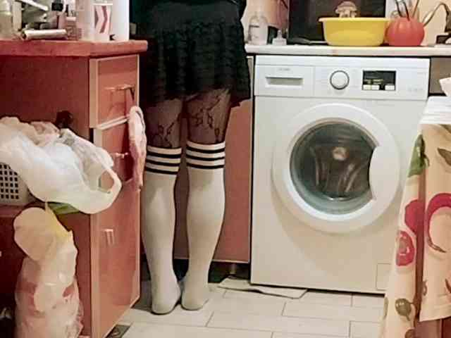 Tiler-cat