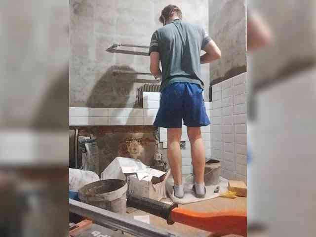 Tiler-cat
