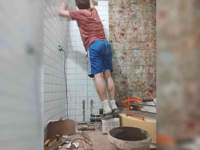 Tiler-cat