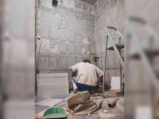 Tiler-cat Tiler-cat