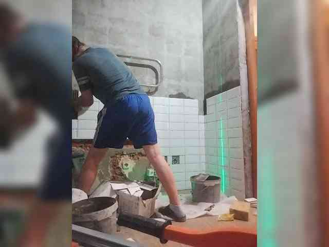 Tiler-cat
