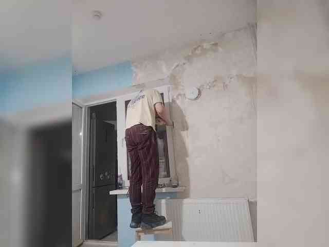 Tiler-cat