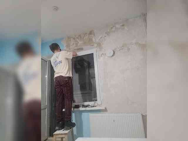 Tiler-cat