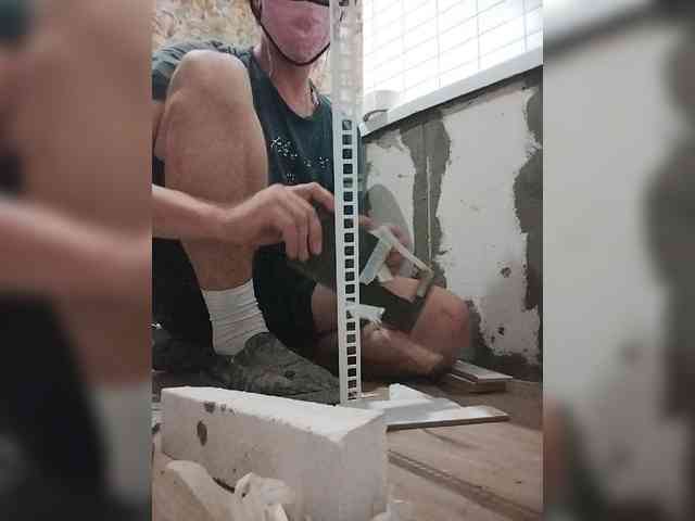 Tiler-cat