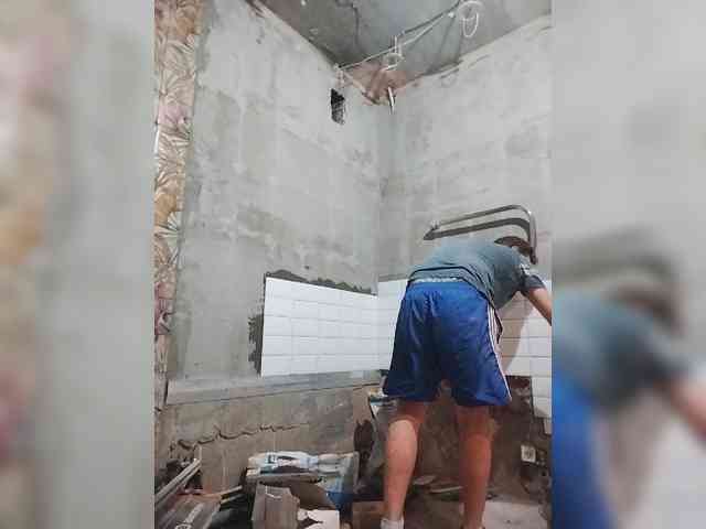 Tiler-cat