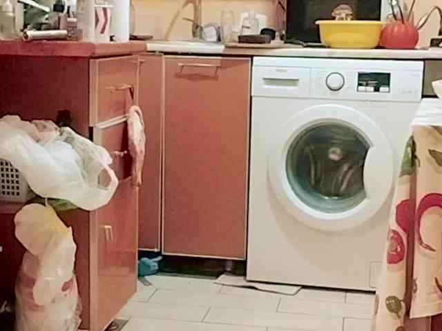 Tiler-cat Tiler-cat