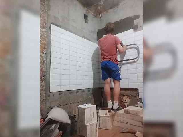Tiler-cat