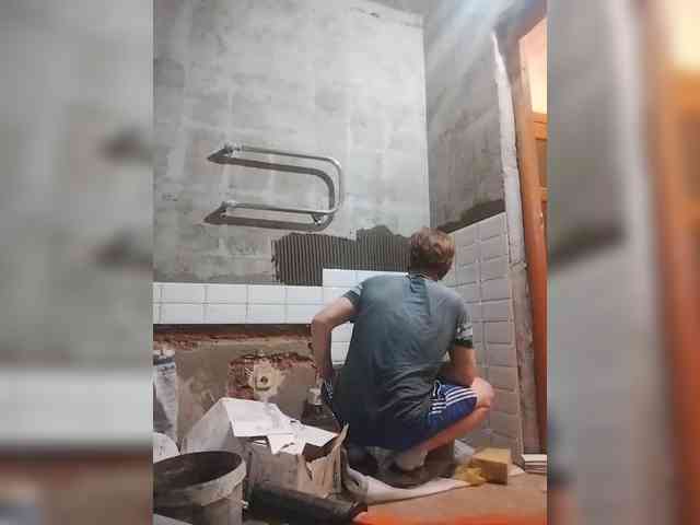 Tiler-cat