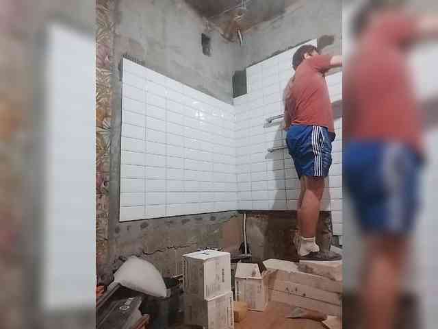 Tiler-cat