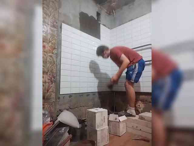 Tiler-cat