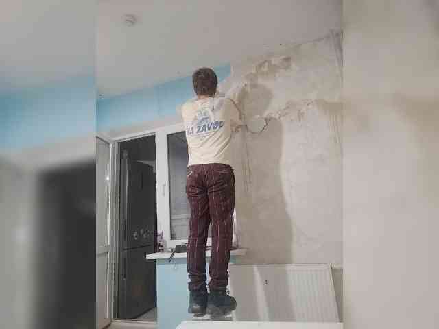Tiler-cat