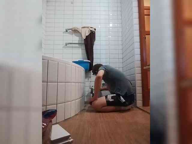 Tiler-cat