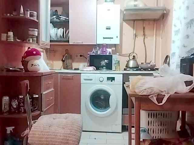 Tiler-cat