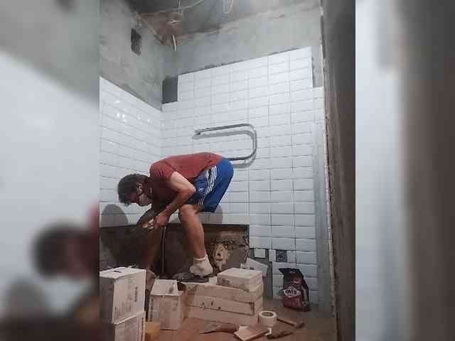 Tiler-cat