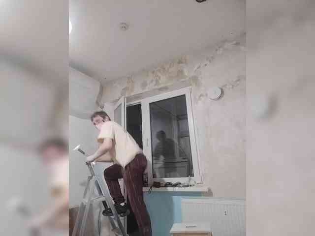 Tiler-cat
