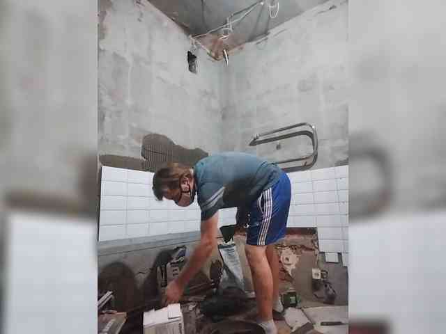 Tiler-cat