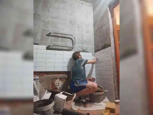 Tiler-cat