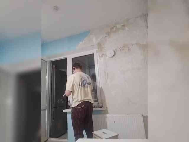 Tiler-cat