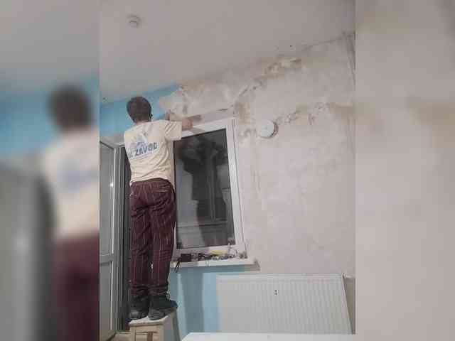 Tiler-cat