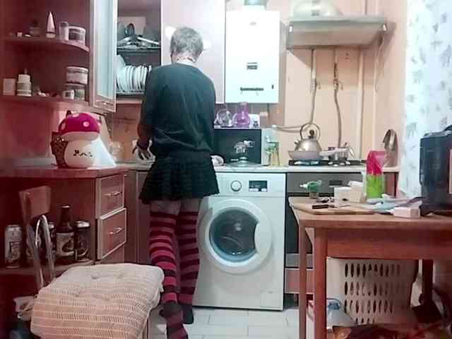 Tiler-cat