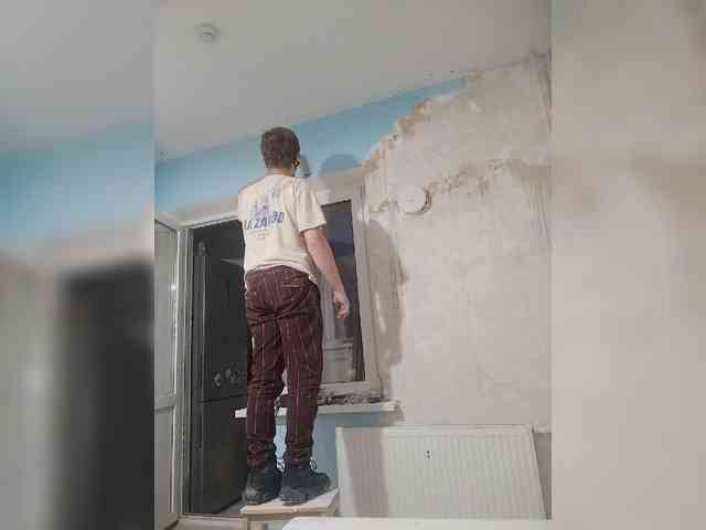 Tiler-cat