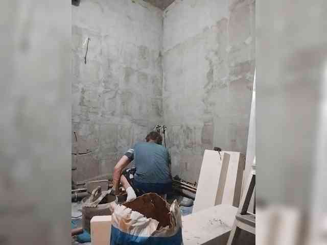 Tiler-cat