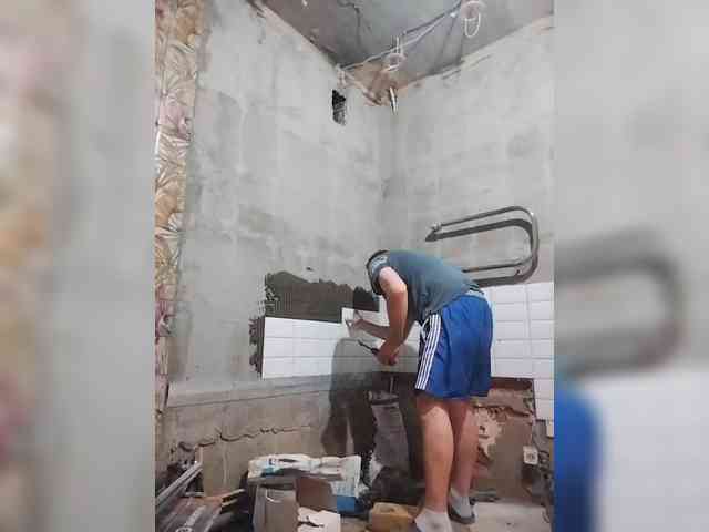 Tiler-cat