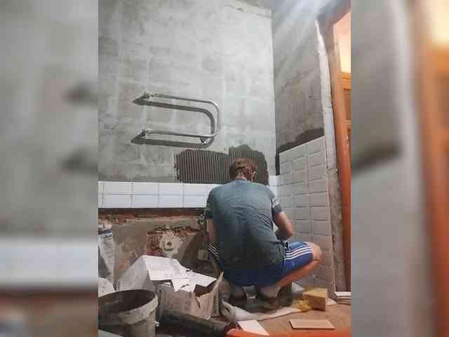 Tiler-cat