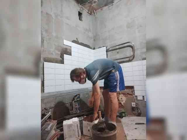 Tiler-cat