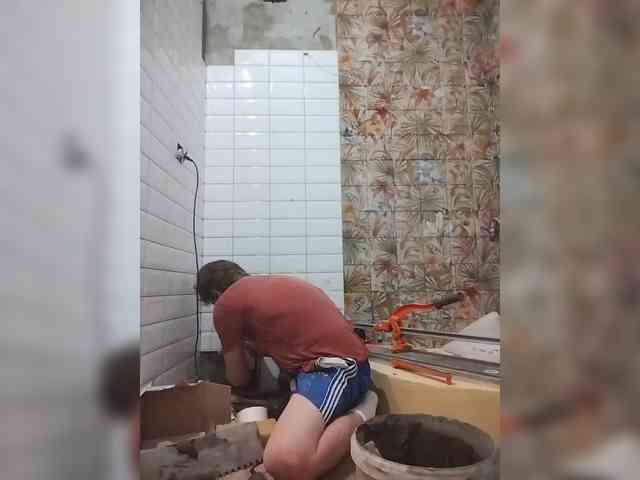 Tiler-cat