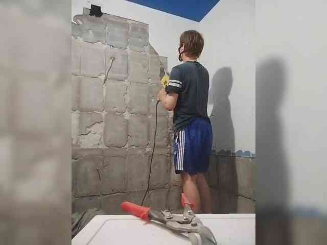 Tiler-cat